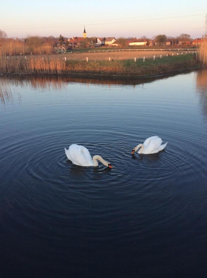 Nagybajcsi Lovaspark Es Otthon Vendeghaz Luaran gambar