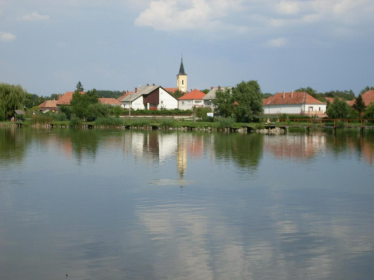 Nagybajcsi Lovaspark Es Otthon Vendeghaz Luaran gambar