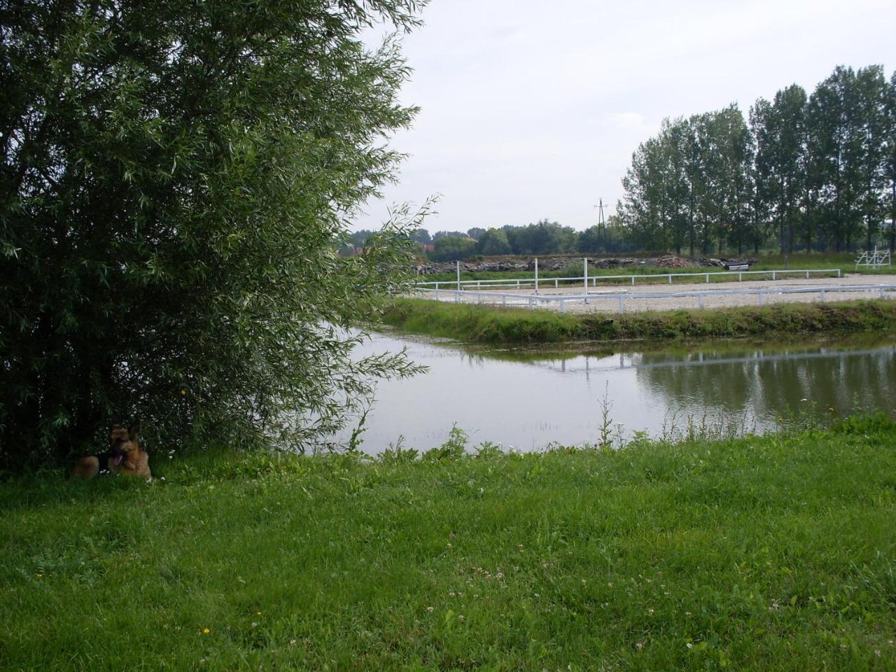 Nagybajcsi Lovaspark Es Otthon Vendeghaz Luaran gambar